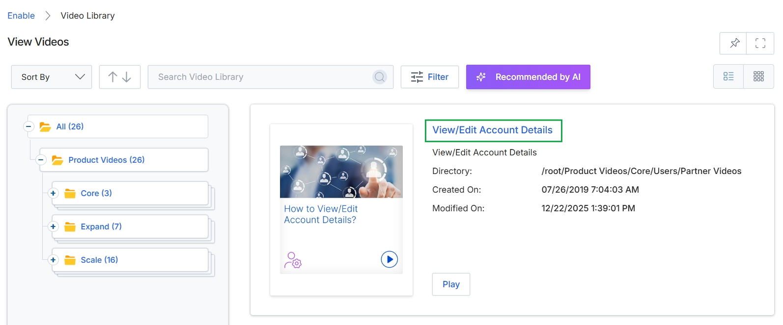 Video details panel