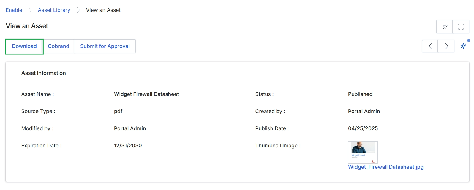 View an Asset screen with Download button highlighted