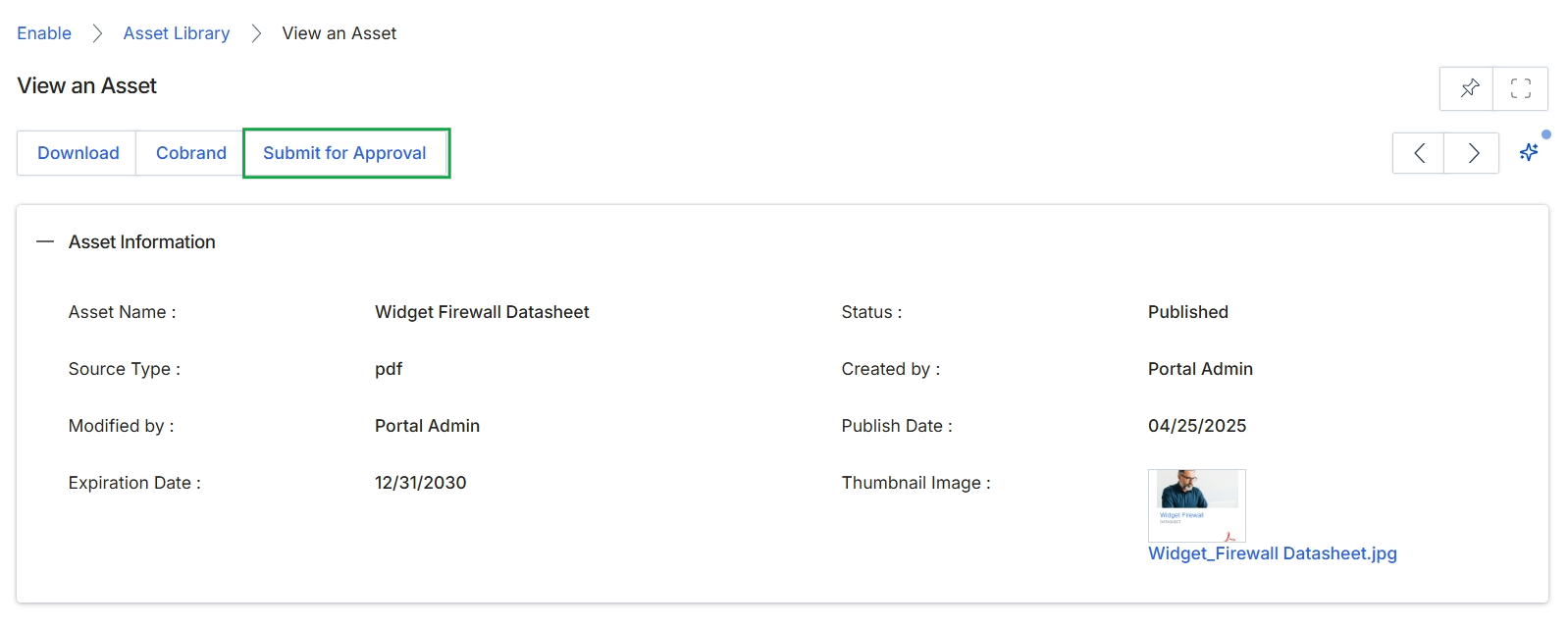 View an Asset page with tabs