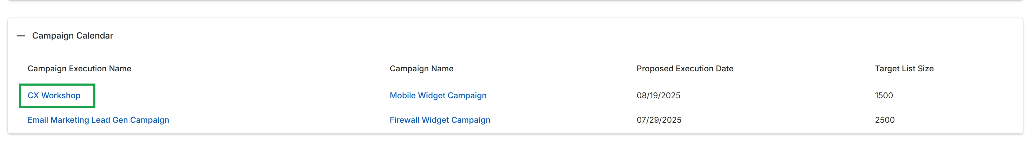 Campaign Calendar section of a Partner Plan