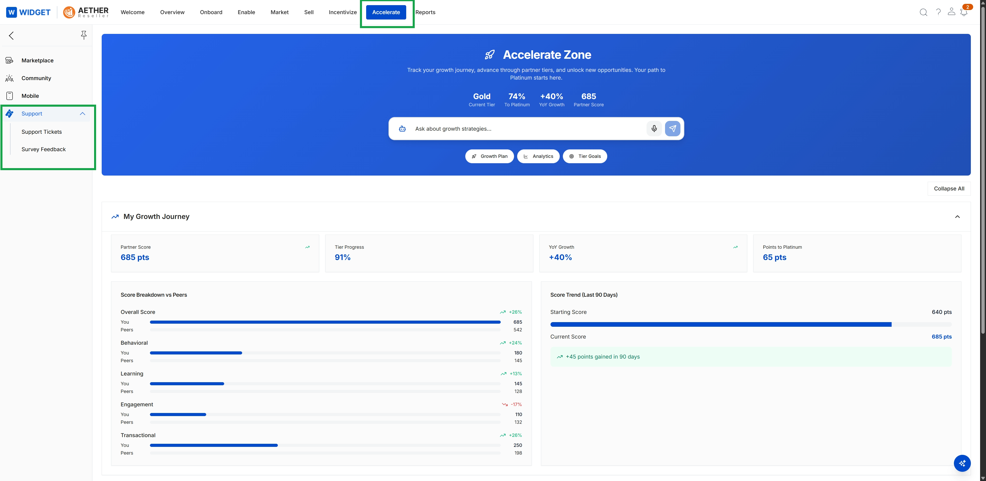 Accelerate Zone dashboard with Support menu expanded