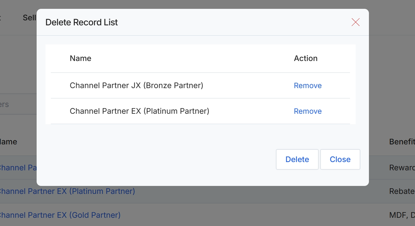 Delete Record List dialog
